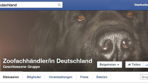 Die Gruppe „Zoofachändler/in Deutschland“ hat fast 500 Mitglieder. Die Gruppe „Zoofachändler/in Deutschland“ hat fast 500 Mitglieder.