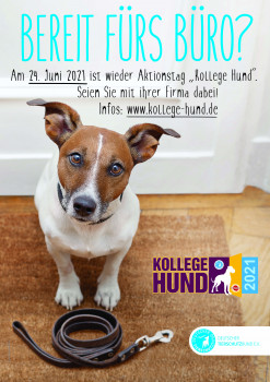 Der Deutsche Tierschutzbund ruft für den 24. Juni zur Teilnahme am Aktionstag „Kollege Hund“ auf.
