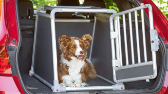 Alu-Transportbox für Hunde