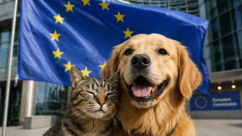 EU verabschiedet wegweisende Vorschriften für Hunde und Katzen