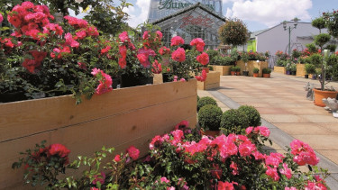 Dehner feiert im Blumenpark