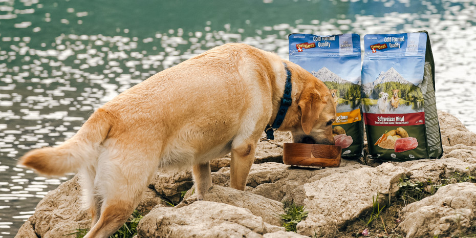 Bereits 1933 legte eine Dorfmetzgerei den Grundstein für das, was heute ein Anbieter hochwertiger Tiernahrung ist.