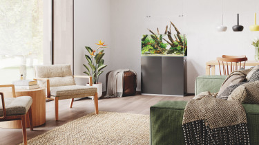 Oase wird Hauptsponsor von „The Art of the Planted Aquarium“