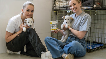 Dog’s Love unterstützt „Pfotenherz Tierschutz“ Dog’s Love unterstützt „Pfotenherz Tierschutz“