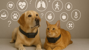 9 von 10 Deutschen wollen GPS-Tracker ohne Feature-Flut