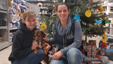 Tier Total spendet an Tierheim