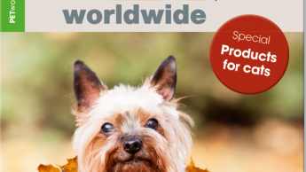 Die neue PETworldwide ist da