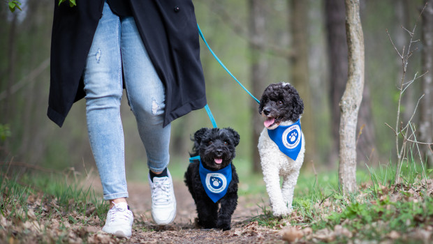 Mit dem Dog Walk am 21. Mai erhofft sich Agria Tierversicherung einen neuen Teilnehmerrekord.