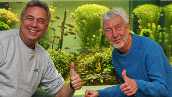 Pflanzenkompetenzseminar war direkt ausgebucht