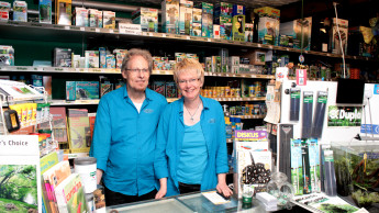 Aquaristik im Keller