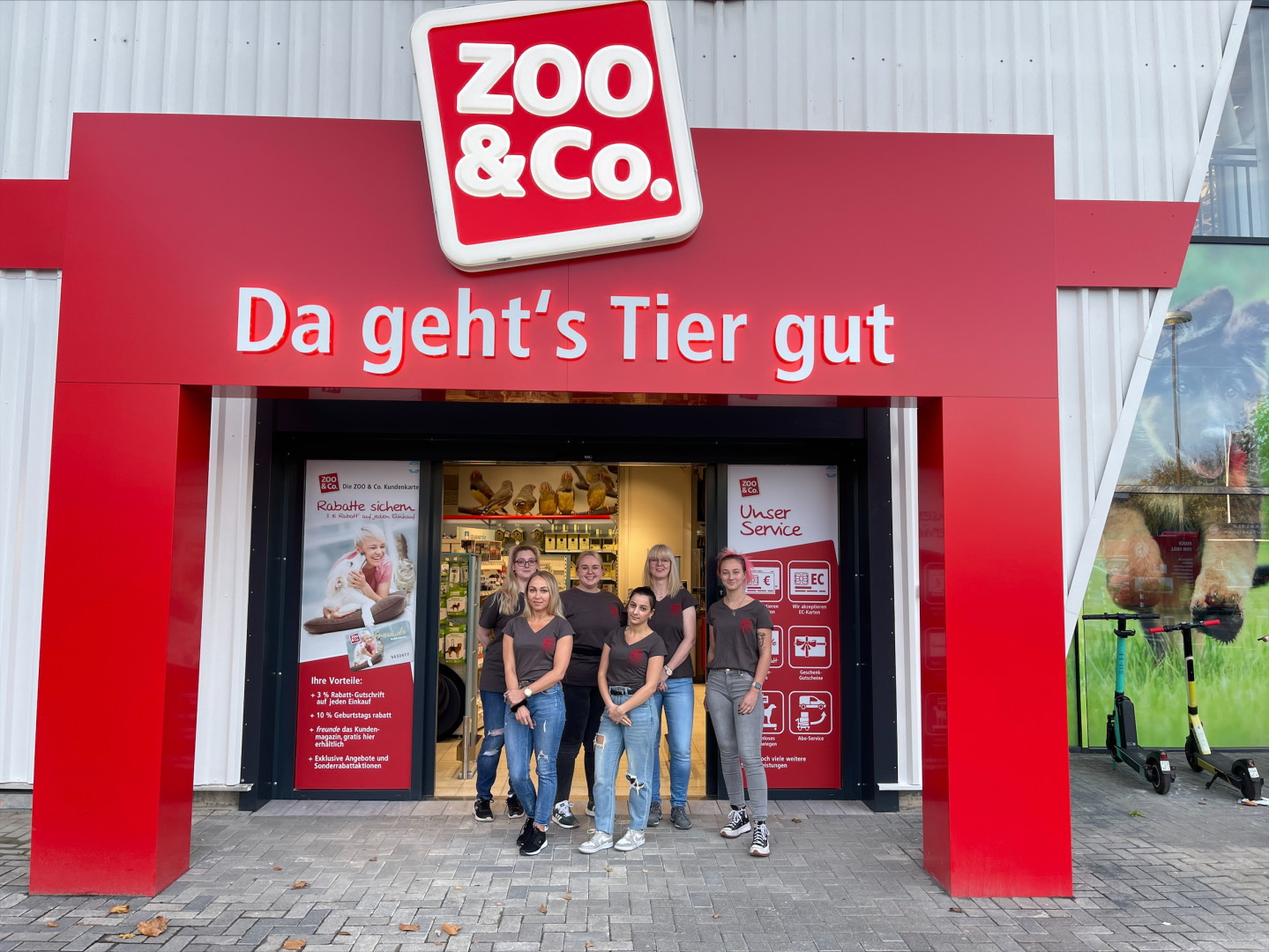 Drei auf einen Streich - pet-online