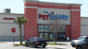 PetSmart strebt Börsengang an
