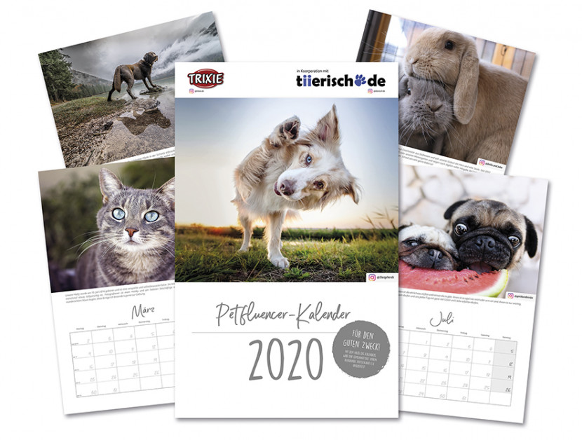 Ein Kalender für den guten Zweck! - pet-online