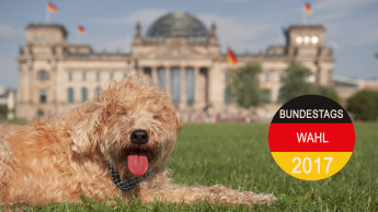 ZZF stellt Wahlprüfsteine online
