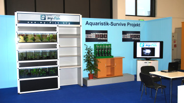 ZZF startet Nachzuchtprogramm