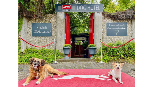 Im Movie Park in Bottrop können Besucherhunde nun im frisch renovierten Hunde-Hotel einchecken.