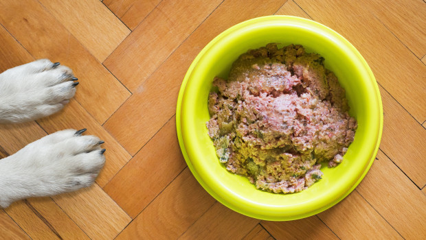 Durch interne Qualitätssicherungs-Prozesse wurde bei Tackenberg festgestellt, dass Rohware eines Vorlieferanten nicht der deklarierten Tierart entspricht – nun folgt der freiwillige Produktrückruf. (Symbolbild)