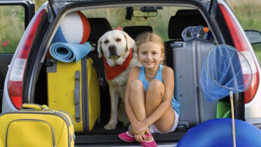 Reisen mit Hunden boomen