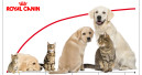 Royal Canin führt Newsletter ein