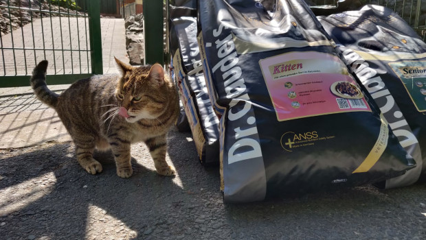 Spendenprojekte von Dr. Clauder