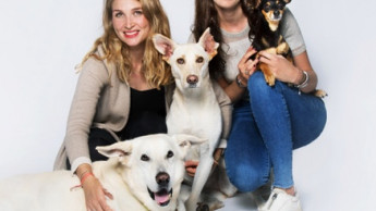 Dagmar Wöhrl investiert in veganes Hundefutter