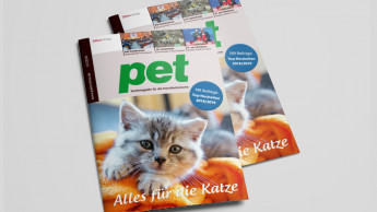 Die neue pet ist da