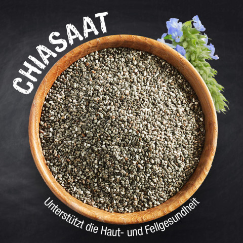 Bewital petfood Bewital petfood