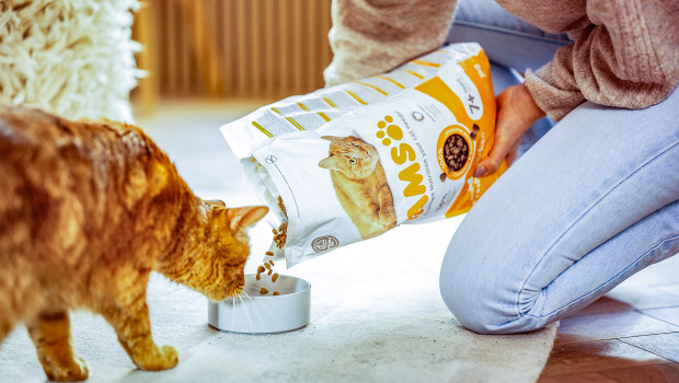 Iams-Produkte gibt es bereits seit 80 Jahren. Iams-Produkte gibt es bereits seit 80 Jahren.