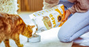 Iams feiert 80 Jahre Bestehen Iams feiert 80 Jahre Bestehen