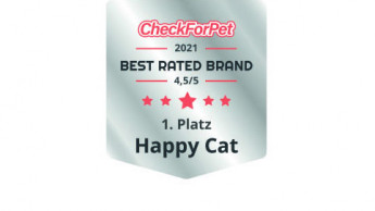 „Happy Cat“ und „Platinum“ liegen vorne