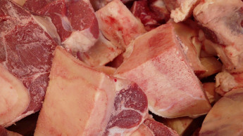 Fleischproduktion wieder gestiegen