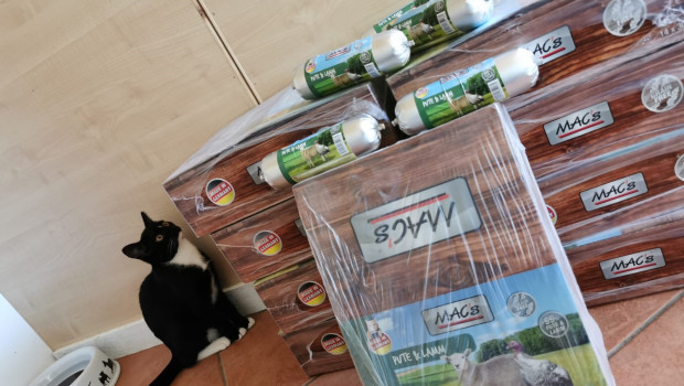 Auch die Katzen im Tierheim Kall freuten sich über Spenden von Pro Pet Koller.