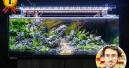 Gianluca Onida gewinnt Aquascaping Challenge
