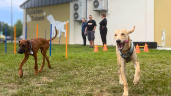 Erster Zoo & Co.-Hundespielplatz