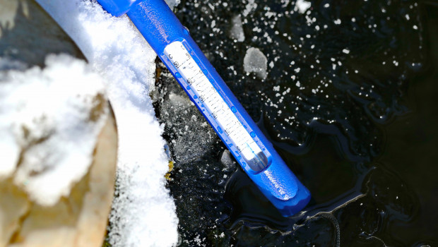 Bei einem optimalen Einsatz eines Teichthermometers kann man vorzeitig Schaden an Fischen und Kleinstlebewesen abwenden.