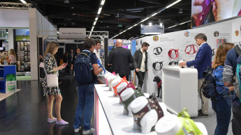 Positive Stimmung und hohe Internationalität Positive Stimmung und hohe Internationalität