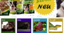 Neue Website von Hundt