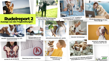 Spannende Insights zu Tierkrankenversicherungen