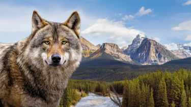 „Herzblut steckt in jedem Produkt“