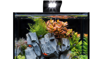 Collar bringt BlackCube-Aquariumset auf den Markt