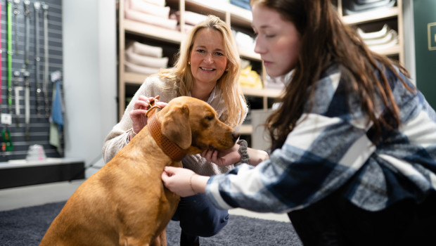 Der Hunde-Knigge enthält Regeln, die Hundehalter nach Ansicht des Unternehmens einhalten sollten, wenn sie aus ihrem Vierbeiner einen Bürohund machen wollen.