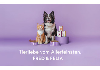 Ergänzendes Bildmaterial