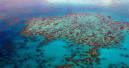 Korallen am Great Barrier Reef erholen sich