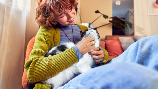 Die Kampagne „Taste of the Catventure!“ von Green Petfood soll die Katzenhalter emotional erreichen. Die Kampagne „Taste of the Catventure!“ von Green Petfood soll die Katzenhalter emotional erreichen.