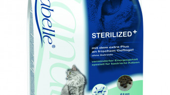 Für kastrierte Katzen