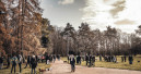 Zooplus und Bark Date bündeln Kräfte