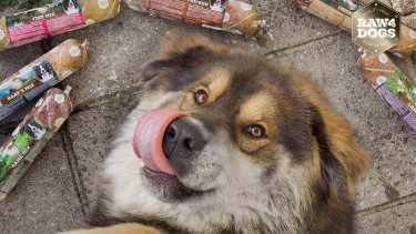 Ruinemans Group kauft Raw4Dogs