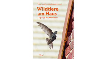 Wildtiere am Haus