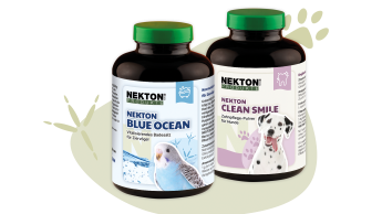 Mit Sicherheit fürs Tierwohl