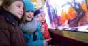 Besucherplus bei der Aqua-Fisch 